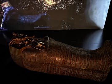 MYSTERY OF TUTANKHAMEN 体感型古代エジプト展に投稿された画像（2025/10/4）