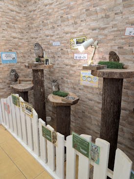 アニタッチ MARK IS 静岡に投稿された画像（2025/10/4）