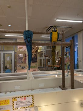 アニタッチ MARK IS 静岡に投稿された画像（2025/10/4）