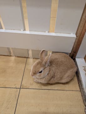 アニタッチ MARK IS 静岡に投稿された画像（2025/10/4）