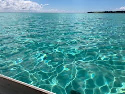 tome cruiseに投稿された画像（2025/10/4）