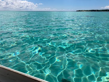 tome cruiseに投稿された画像（2025/10/4）