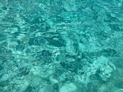 tome cruiseに投稿された画像（2025/10/4）