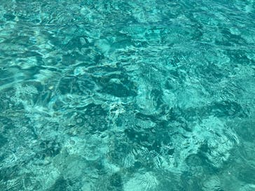 tome cruiseに投稿された画像（2025/10/4）