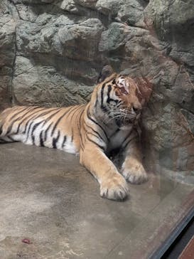 静岡市立日本平動物園に投稿された画像（2025/10/4）