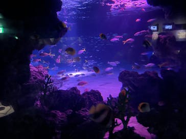 サンシャイン水族館に投稿された画像（2025/10/4）