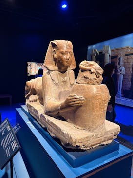 ACN ラムセス大王展 ファラオたちの黄金に投稿された画像（2025/10/4）