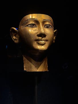 ACN ラムセス大王展 ファラオたちの黄金に投稿された画像（2025/10/4）