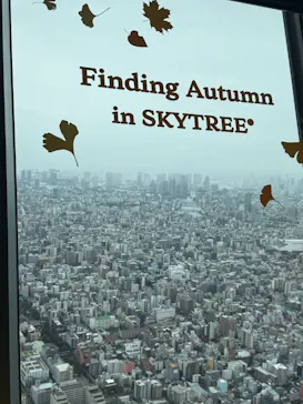 東京スカイツリーに投稿された画像（2025/10/4）