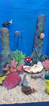 海洋堂ホビーランドに投稿された画像（2025/10/4）