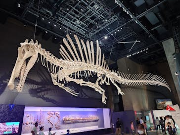 福井県立恐竜博物館に投稿された画像（2025/10/4）