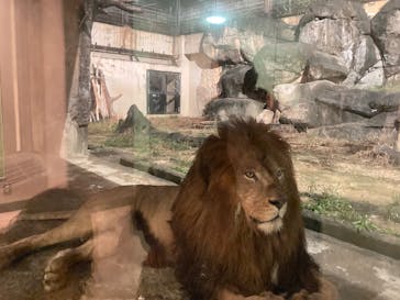 静岡市立日本平動物園に投稿された画像（2025/10/4）