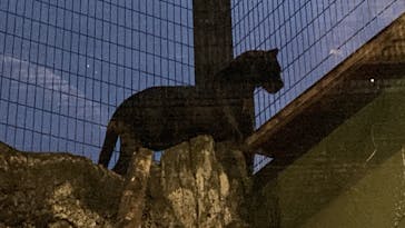 静岡市立日本平動物園に投稿された画像（2025/10/4）