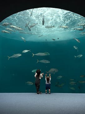 四国水族館に投稿された画像（2025/10/4）