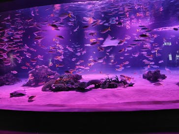 サンシャイン水族館に投稿された画像（2025/10/5）