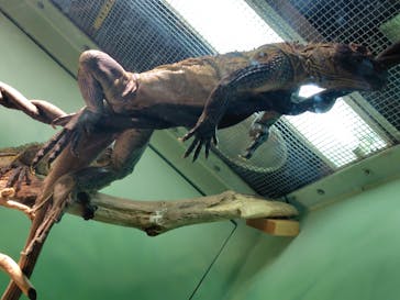 サンシャイン水族館に投稿された画像（2025/10/5）