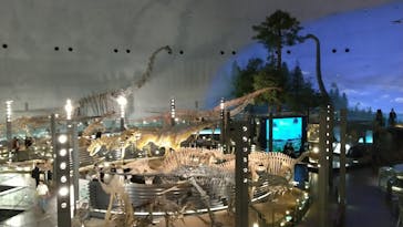 福井県立恐竜博物館に投稿された画像（2025/10/5）