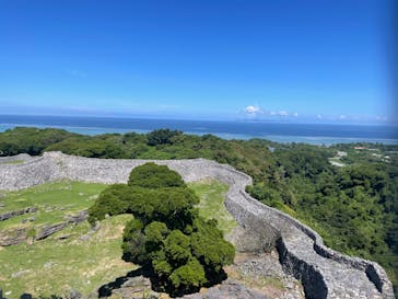 今帰仁城跡に投稿された画像（2025/10/5）