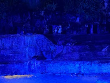 静岡市立日本平動物園に投稿された画像（2025/10/5）