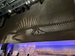 福井県立恐竜博物館に投稿された画像（2025/10/5）