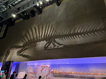 福井県立恐竜博物館に投稿された画像（2025/10/5）