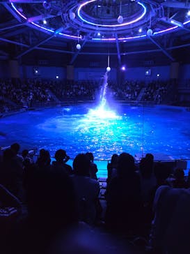 マクセル アクアパーク品川に投稿された画像（2025/10/5）