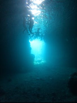 武藤潜水に投稿された画像（2025/10/5）