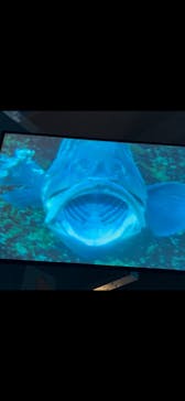 新江ノ島水族館に投稿された画像（2025/10/5）