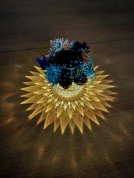 フランスカルチャーサロン ラベルヴィに投稿された画像（2025/10/5）