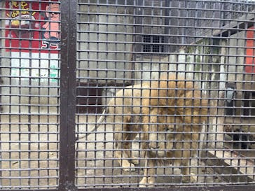 宇都宮動物園に投稿された画像（2025/10/5）