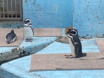 宇都宮動物園に投稿された画像（2025/10/5）