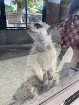 宇都宮動物園に投稿された画像（2025/10/5）