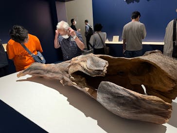 正倉院 THE SHOW ―感じる。いま、ここにある奇跡―　@上野の森美術館に投稿された画像（2025/10/5）