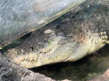 恩賜上野動物園に投稿された画像（2025/10/5）