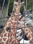 東京動物園協会_多摩動物公園に投稿された画像（2025/10/5）