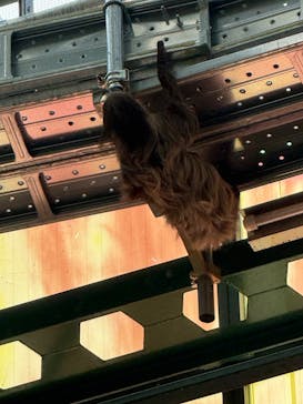 千葉市動物公園に投稿された画像（2025/10/5）