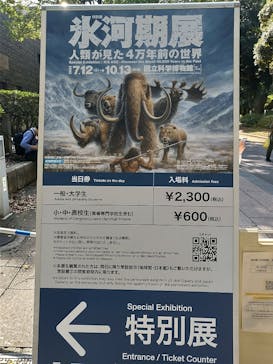 特別展「氷河期展 〜人類が見た4万年前の世界〜」（国立科学博物館）に投稿された画像（2025/10/5）