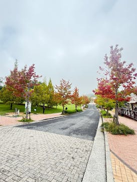 ニジゲンノモリに投稿された画像（2025/10/5）