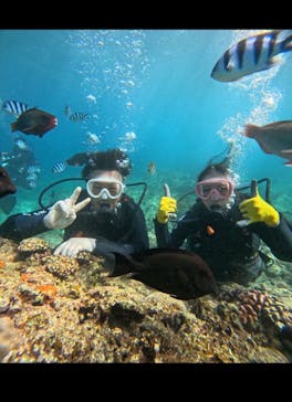 武藤潜水に投稿された画像（2025/10/5）