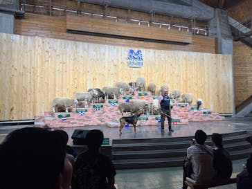 マザー牧場に投稿された画像（2025/10/5）