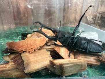 マザー牧場に投稿された画像（2025/10/5）