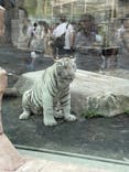 東武動物公園に投稿された画像（2025/10/5）