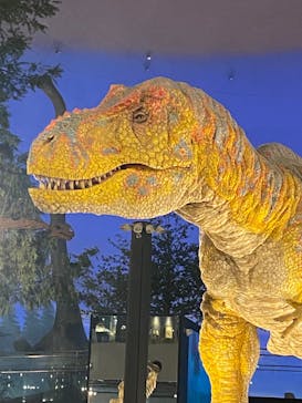 福井県立恐竜博物館に投稿された画像（2025/10/5）