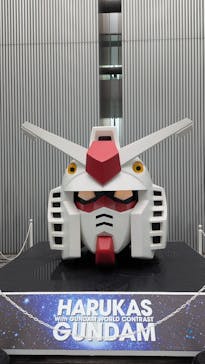 ハルカス300(展望台)に投稿された画像（2025/10/5）