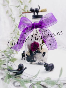 ずこうしつ〜sugamo〜に投稿された画像（2025/10/5）