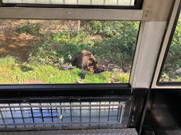 サホロリゾート　ベア･マウンテンに投稿された画像（2025/10/5）