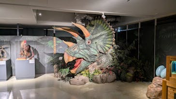 海洋堂ホビーランドに投稿された画像（2025/10/5）