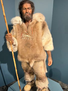 特別展「氷河期展 〜人類が見た4万年前の世界〜」（国立科学博物館）に投稿された画像（2025/10/5）