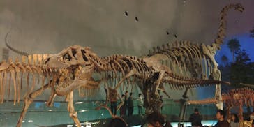 福井県立恐竜博物館に投稿された画像（2025/10/5）