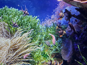 名古屋港水族館に投稿された画像（2025/10/5）